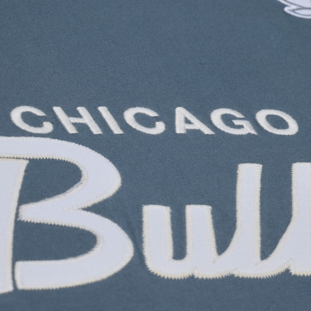 Chicago Bulls Thunderstorm T-Shirt Blue - NBA