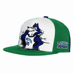 Minnesota Timberwolves Youth Mascot Snapback Hat Green - NBA