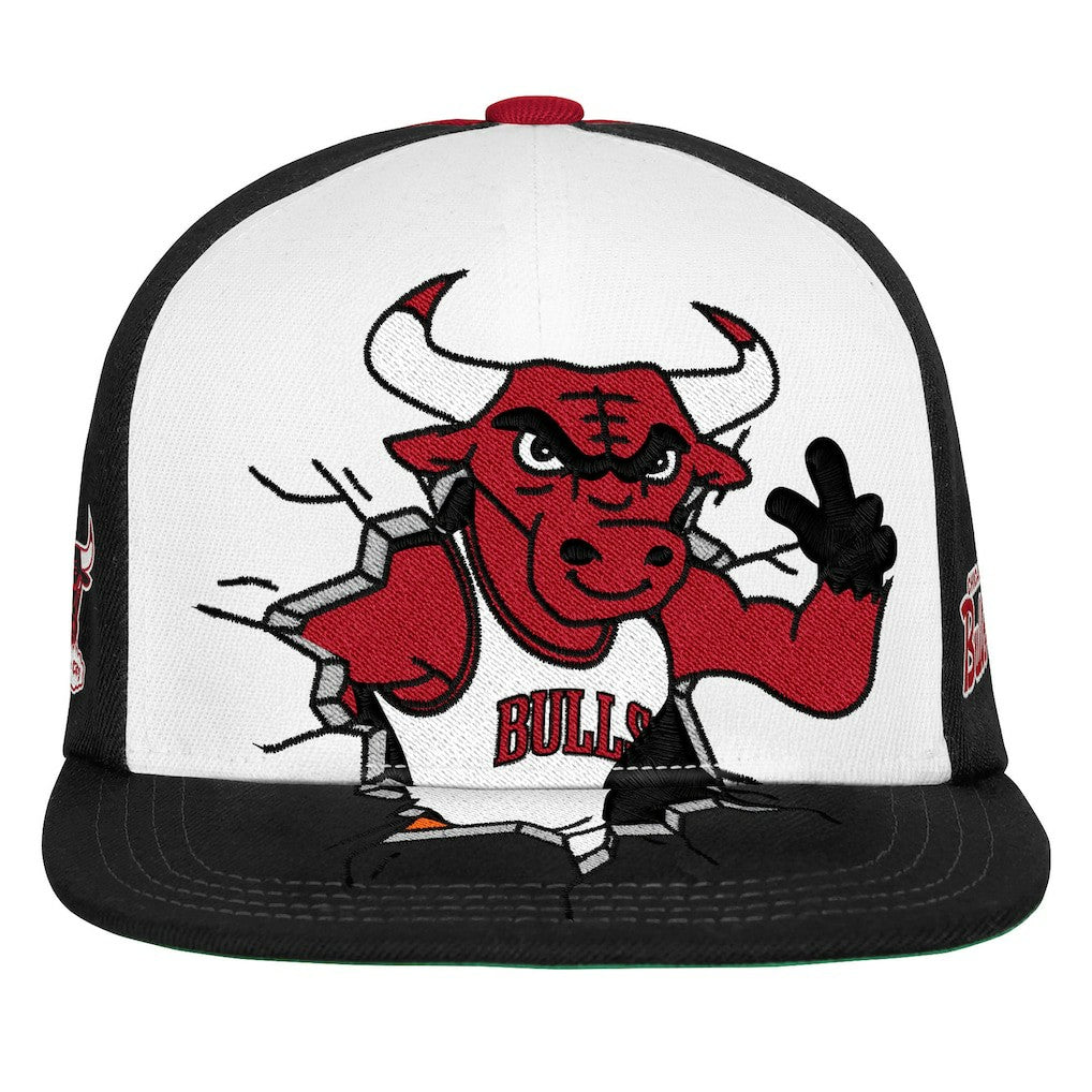 Chicago Bulls Youth Mascot Snapback Hat Black - NBA