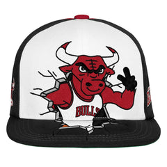 Chicago Bulls Youth Mascot Snapback Hat Black - NBA