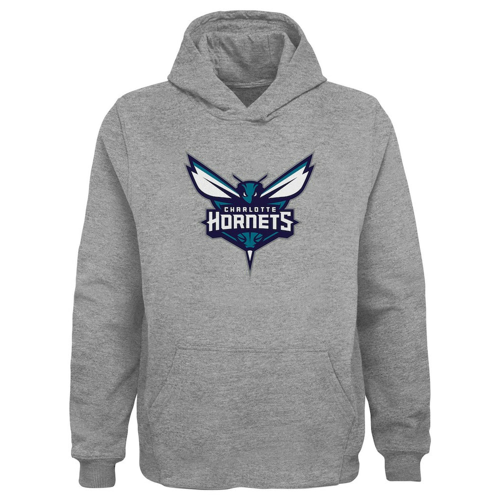 Charlotte Hornets Outerstuff Youth Primary Logo Pullover Hoodie Gray - NBA