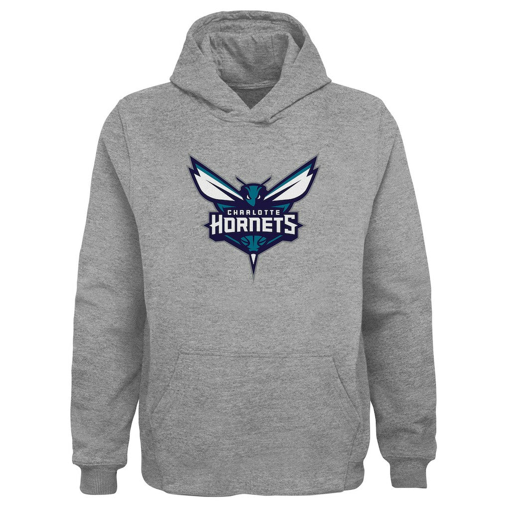 Charlotte Hornets Outerstuff Youth Primary Logo Pullover Hoodie Gray - NBA
