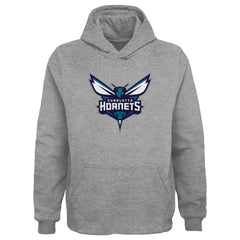 Charlotte Hornets Outerstuff Youth Primary Logo Pullover Hoodie Gray - NBA