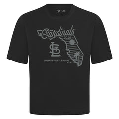 St. Louis Cardinals Levelwear Sunrise Luxe Signature Knit T-Shirt - MLB