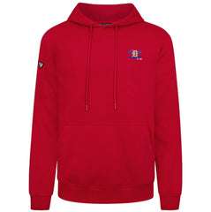 Detroit Tigers Levelwear Panoramic Podium Hoodie - MLB