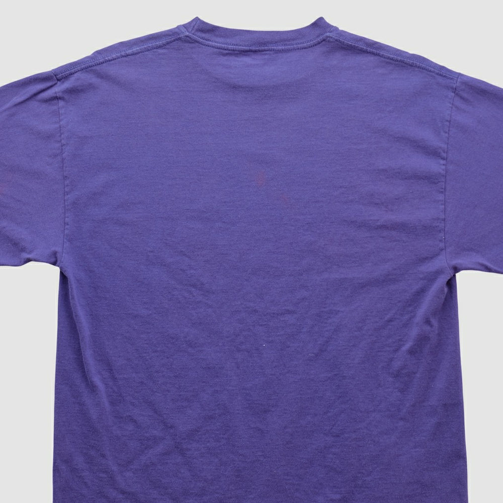Minnesota Vikings Tultex 90s T-shirt Purple Vintage | Fanatics