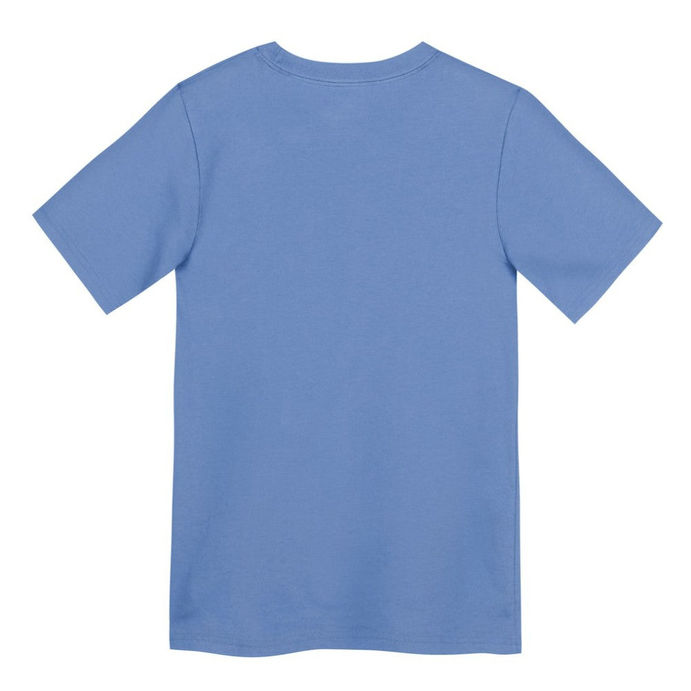Chicago Cubs Nike Preschool Electric Bear Alternate T-Shirt - MLB