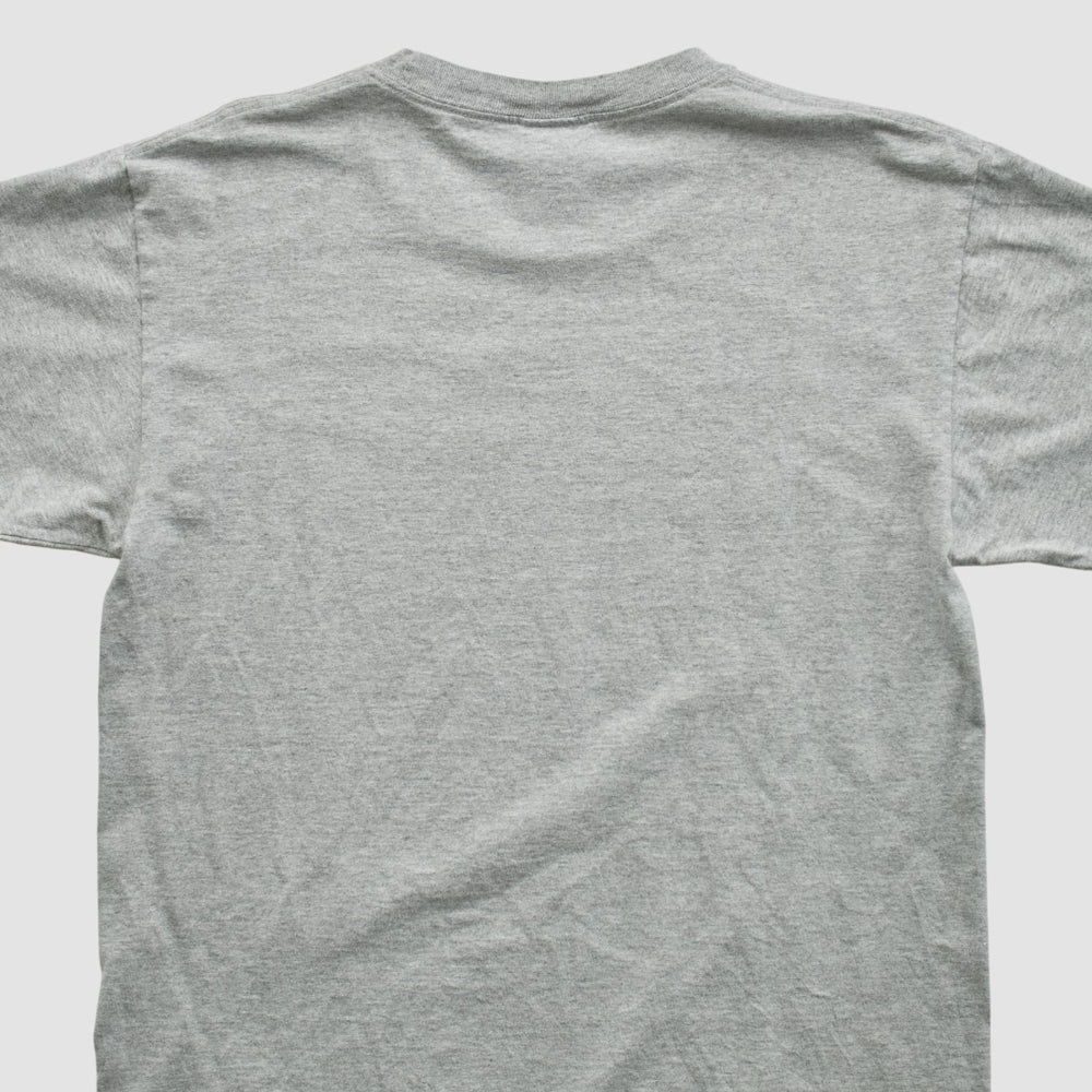 Houston Texans Reebok 2000s T-shirt Heather Gray Vintage | Fanatics