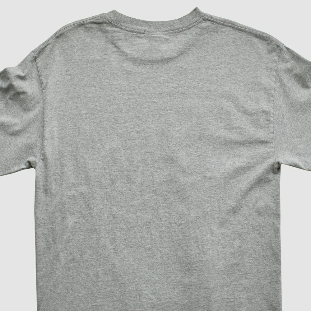 Division Champions NFL 2006 Long Sleeve T-shirt Heather Gray Vintage | Fanatics