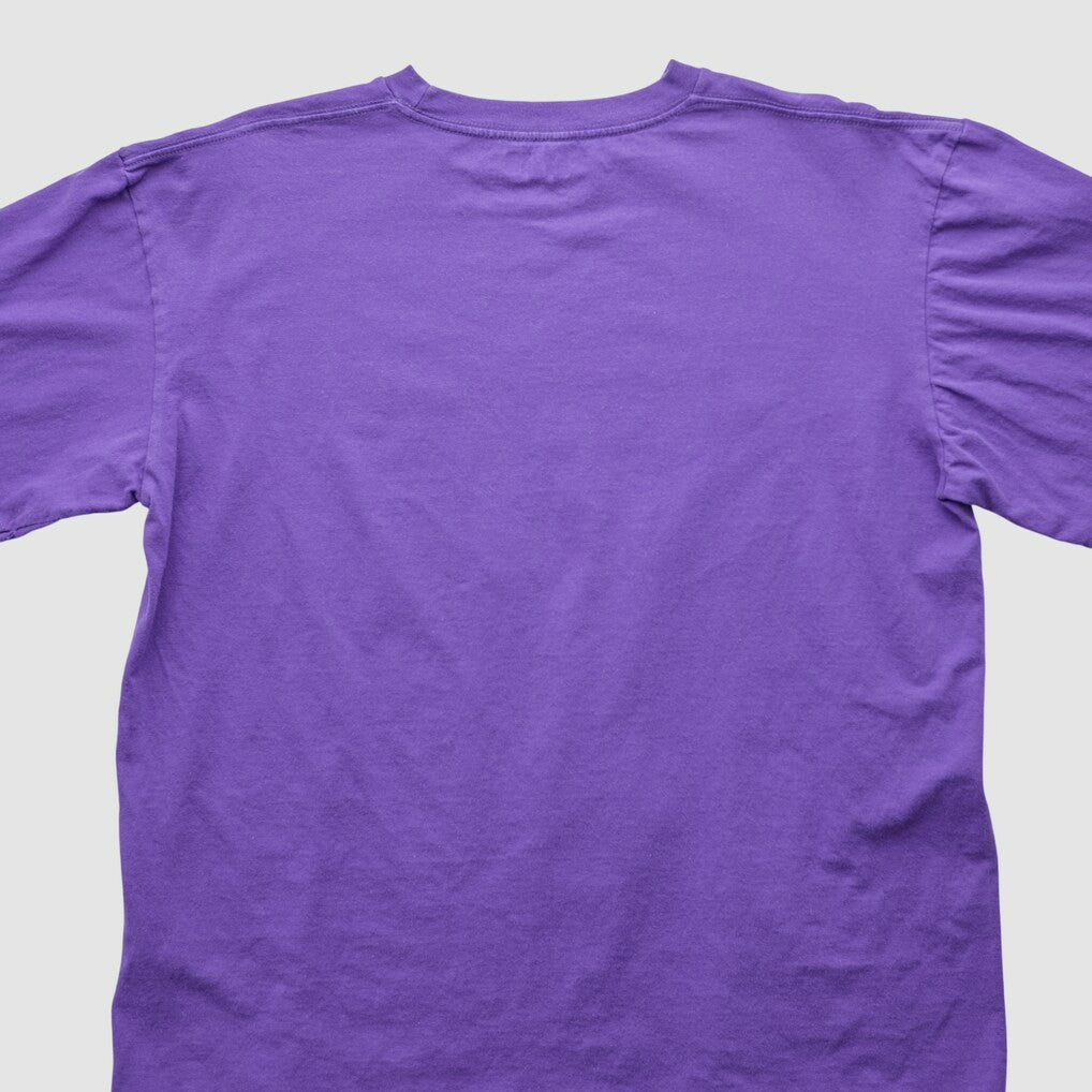Minnesota Vikings NFL 2000s T-shirt Purple Vintage | Fanatics