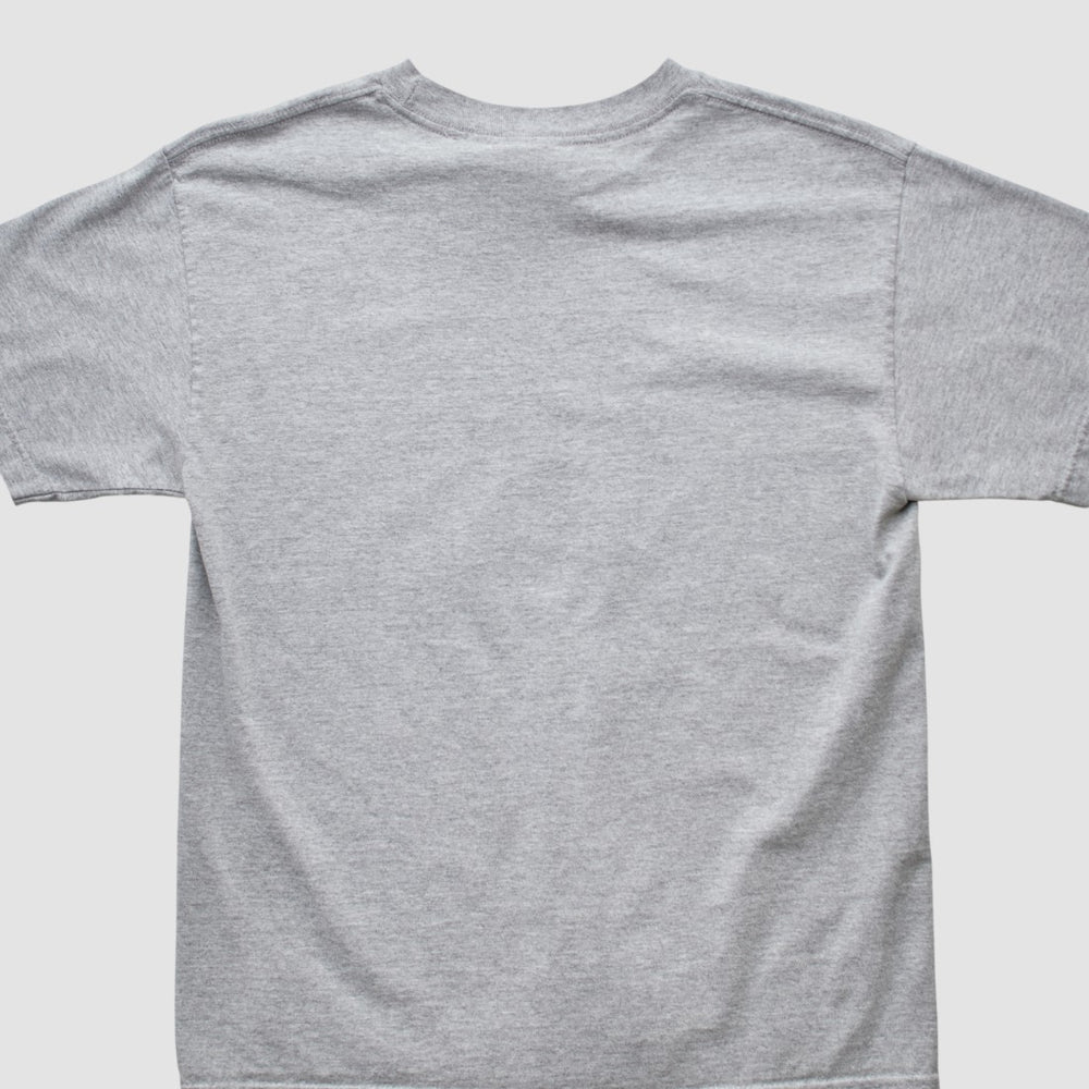 Denver Broncos NFL 2000s T-shirt Heather Gray Vintage | Fanatics