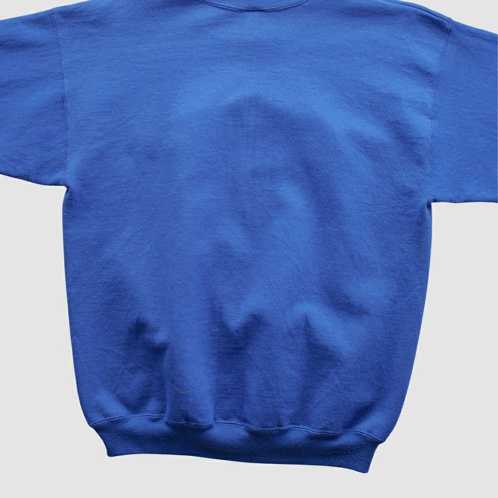 New York Giants Champion 90s Pullover Sweatshirt Blue Vintage | Fanatics