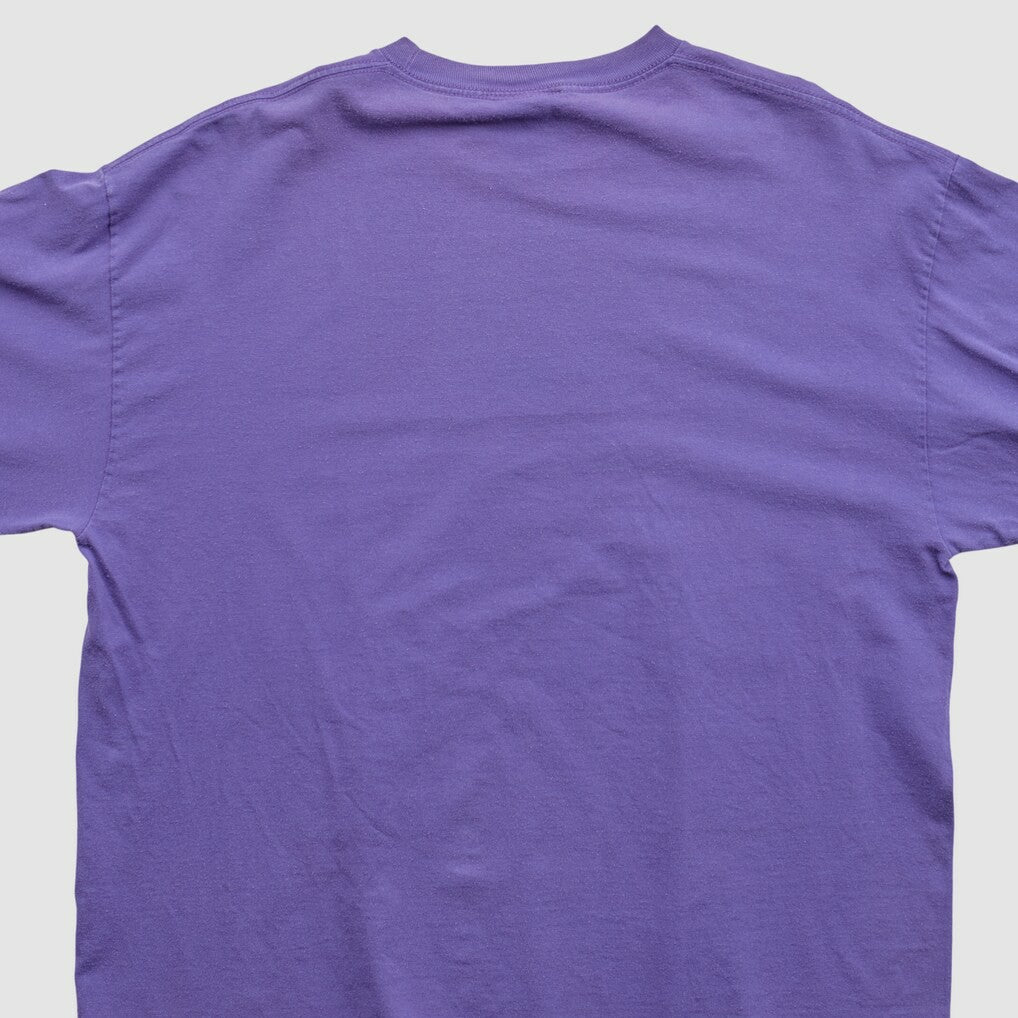 Minnesota Vikings NFL 2010s Long Sleeve T-shirt Purple Vintage | Fanatics