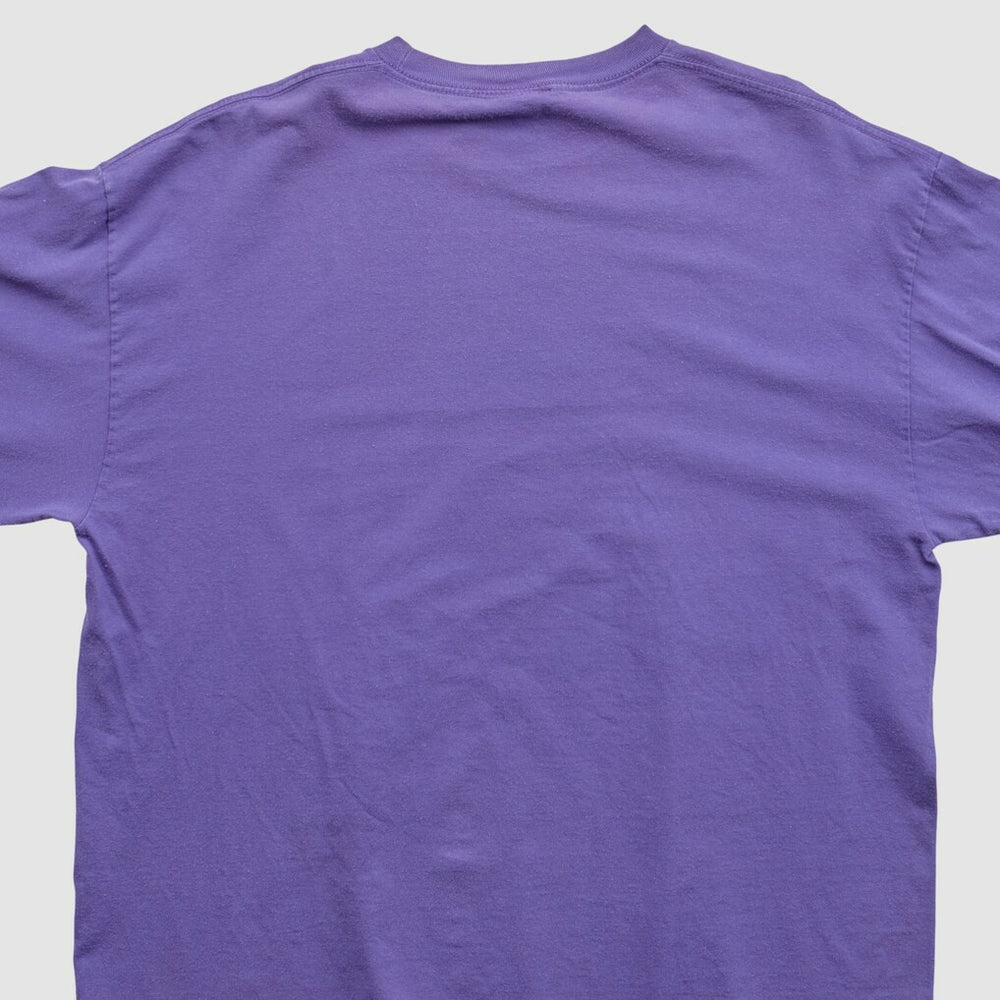 Minnesota Vikings NFL 2010s Long Sleeve T-shirt Purple Vintage | Fanatics