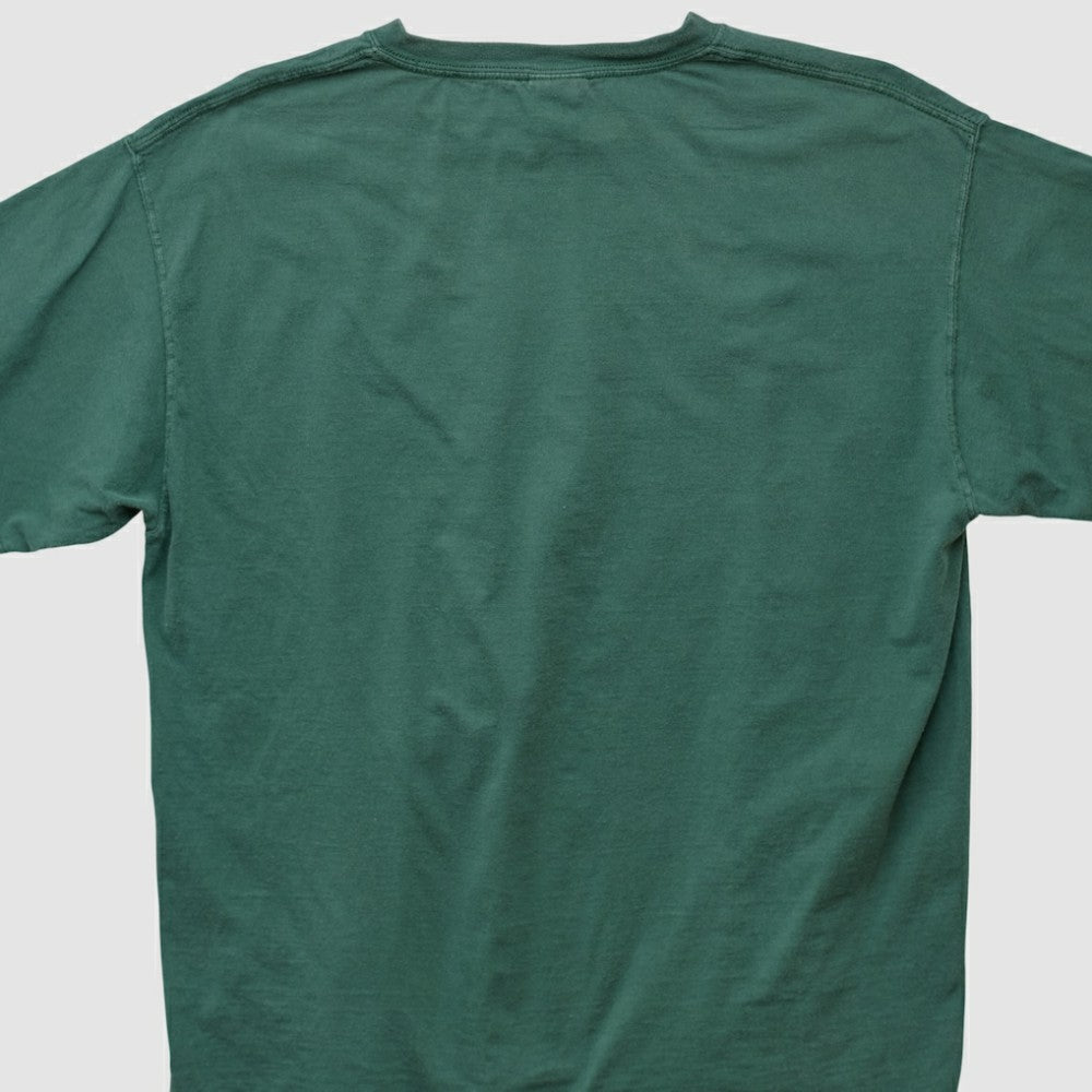 Tampa Bay Rays Lee Sport T-shirt - MLB
