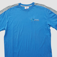 Detroit Lions NFL 2000s T-shirt Blue Vintage | Fanatics