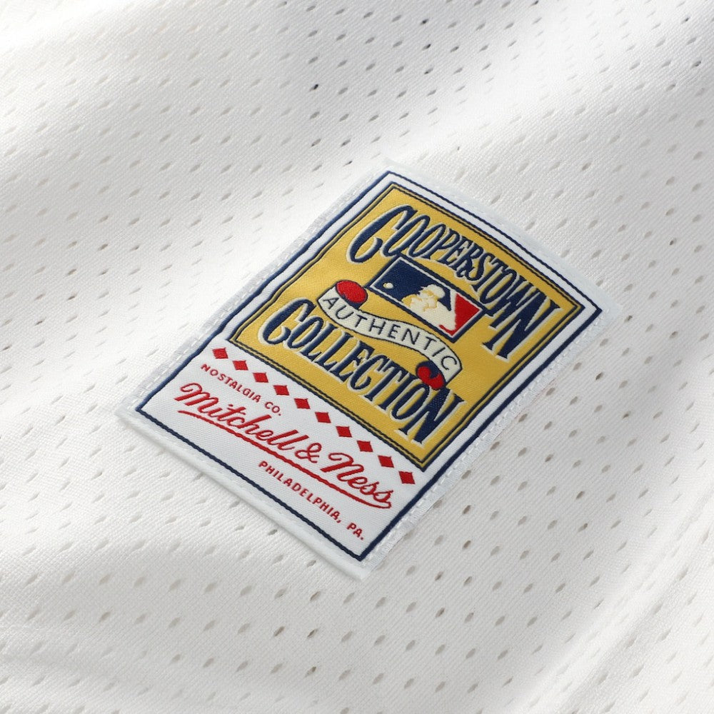 Carlton Fisk Chicago White Sox Mitchell & Ness Authentic Batting Practice Jersey - MLB