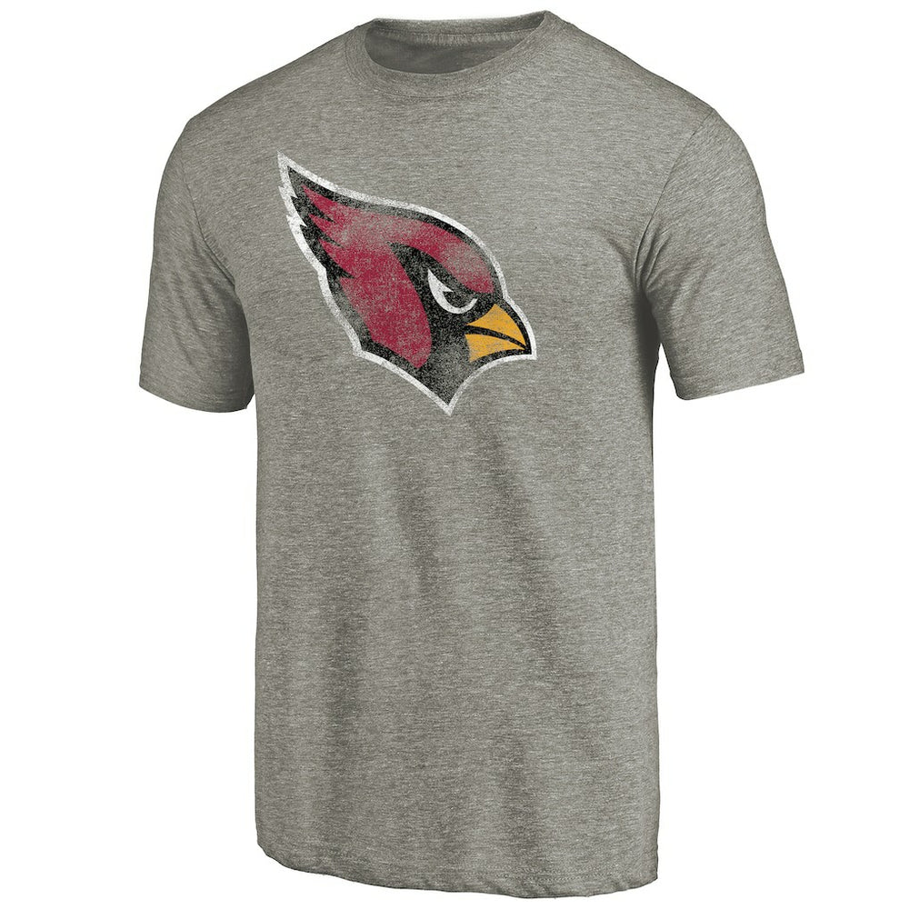 Arizona Cardinals Distressed Team T-Shirt Ash | NFL