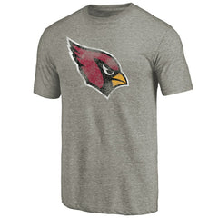 Arizona Cardinals Distressed Team T-Shirt Ash | NFL
