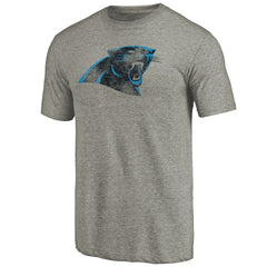 Carolina Panthers Distressed Team T-Shirt Ash | NFL