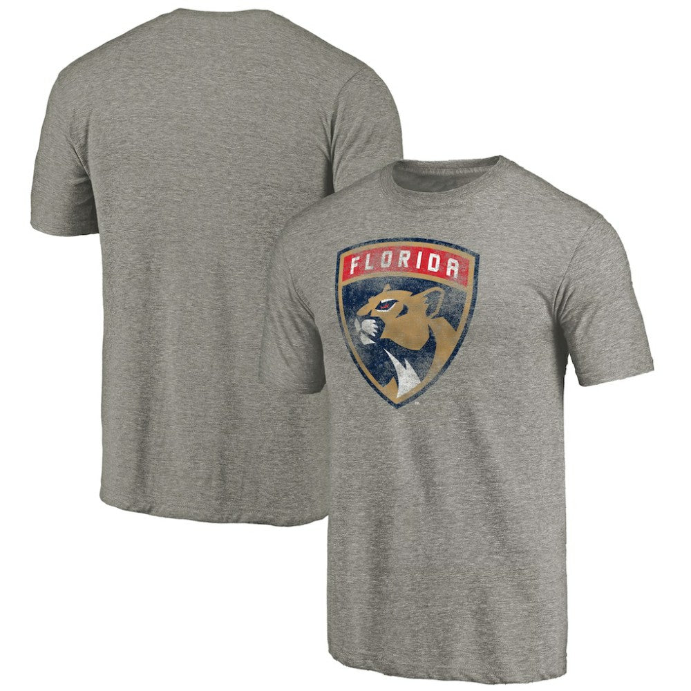 Florida Panthers New Logo Tri-Blend T-Shirt - Gray - NHL