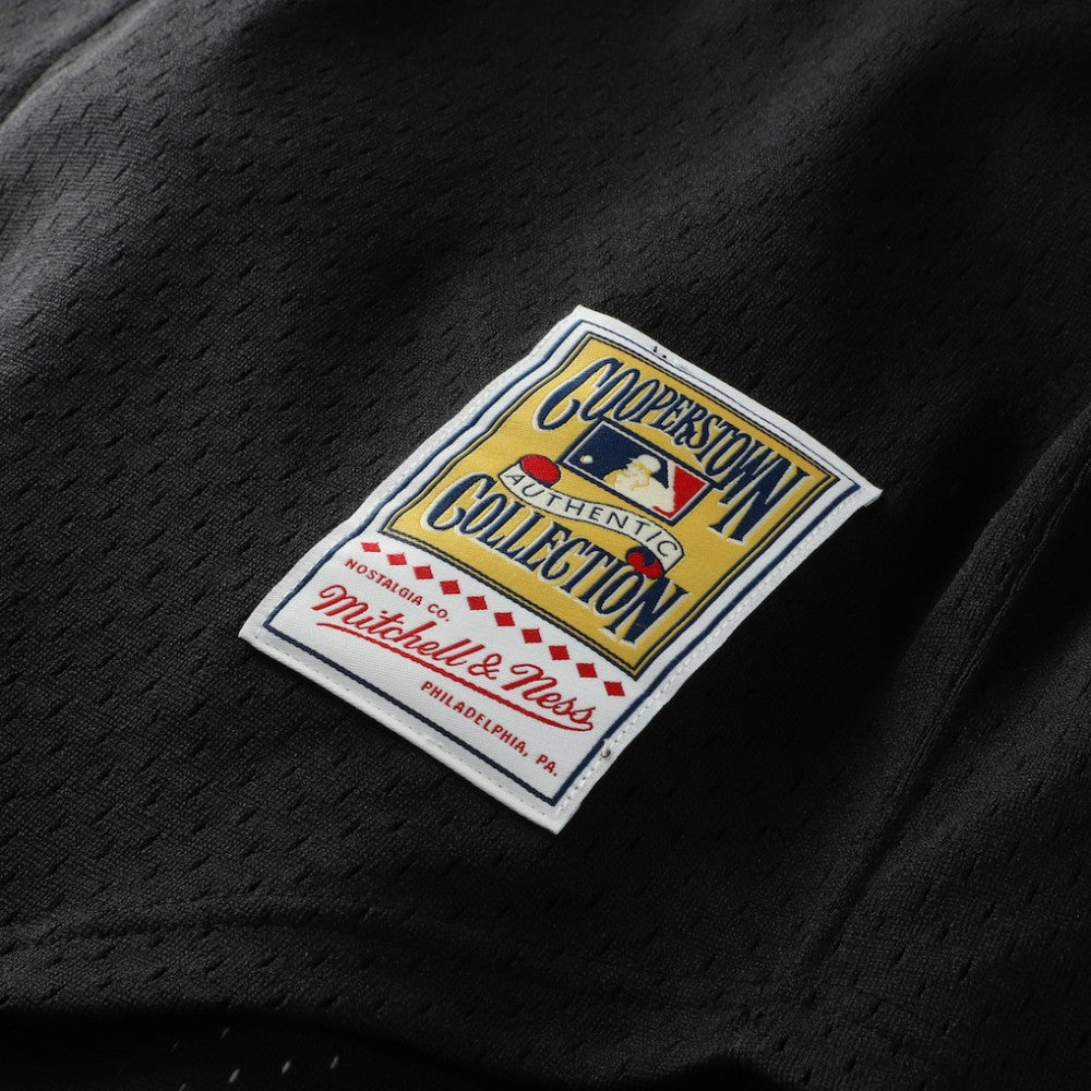 Randy Johnson Arizona Diamondbacks Mitchell & Ness Cooperstown Collection Mesh Batting Practice Button-Up Jersey - MLB