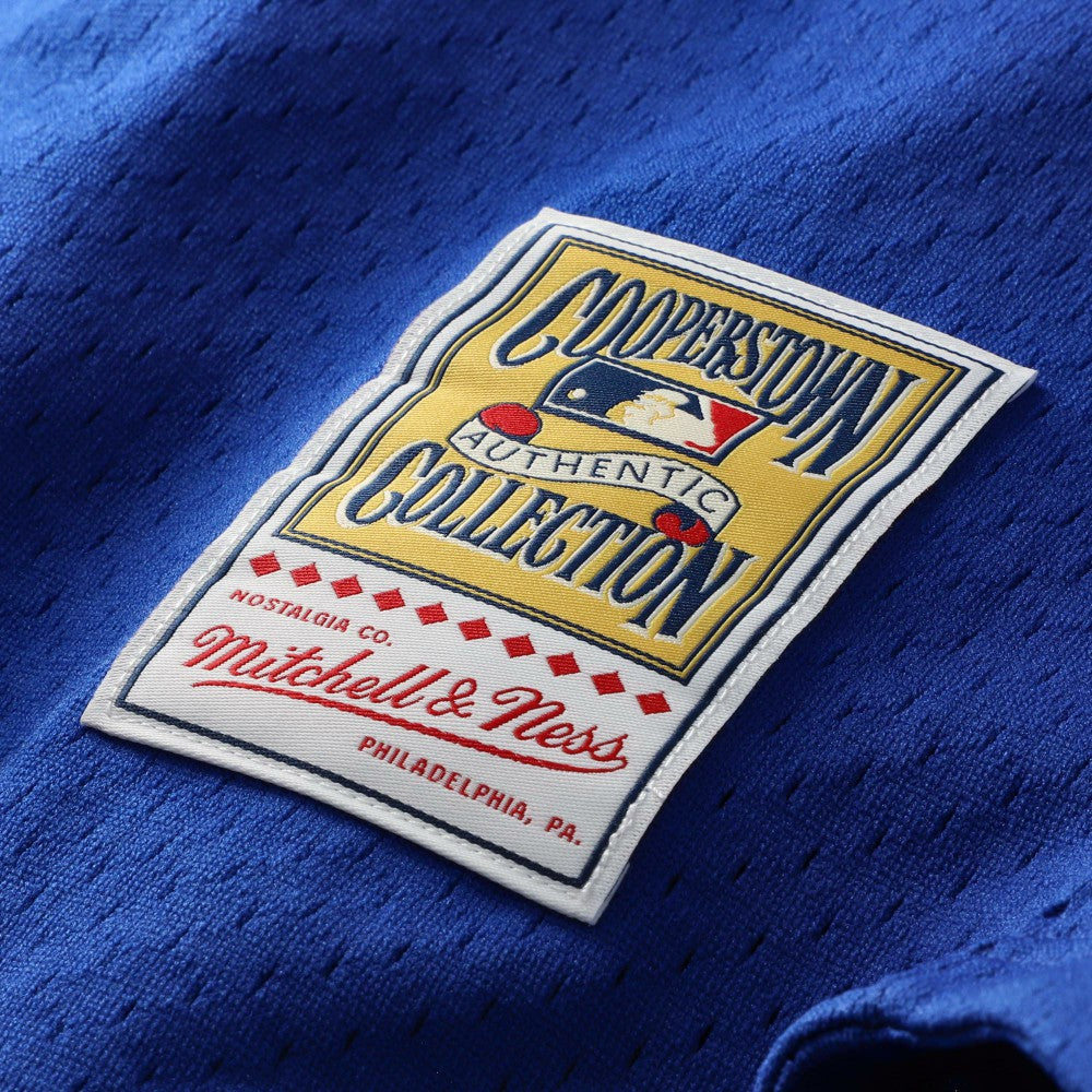 Mike Piazza Los Angeles Dodgers Mitchell & Ness Cooperstown Collection Mesh Batting Practice Button-Up Jersey - MLB