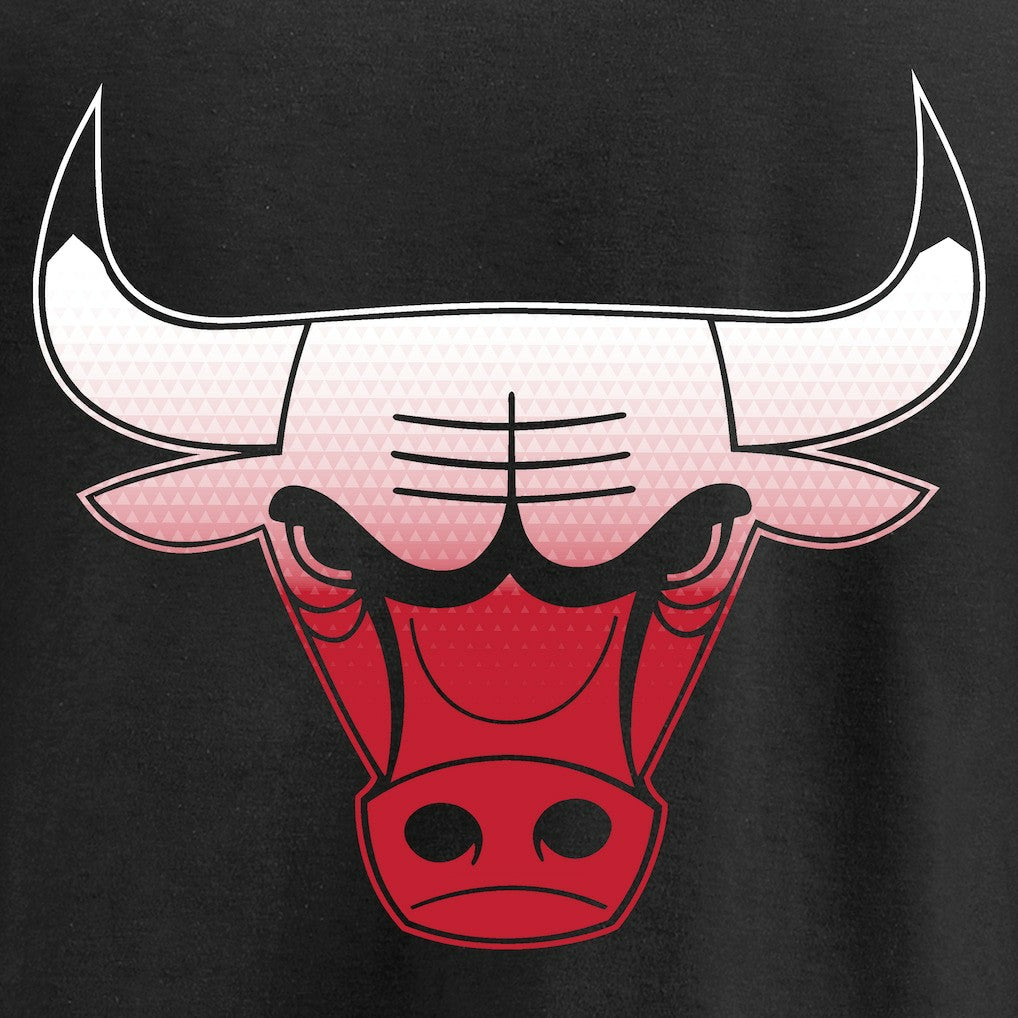Chicago Bulls Gradient Logo T-Shirt Black - NBA