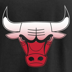 Chicago Bulls Gradient Logo T-Shirt Black - NBA