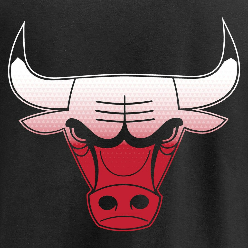 Chicago Bulls Gradient Logo Pullover Hoodie Black - NBA