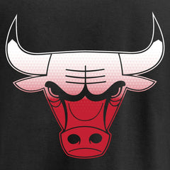 Chicago Bulls Gradient Logo Pullover Hoodie Black - NBA