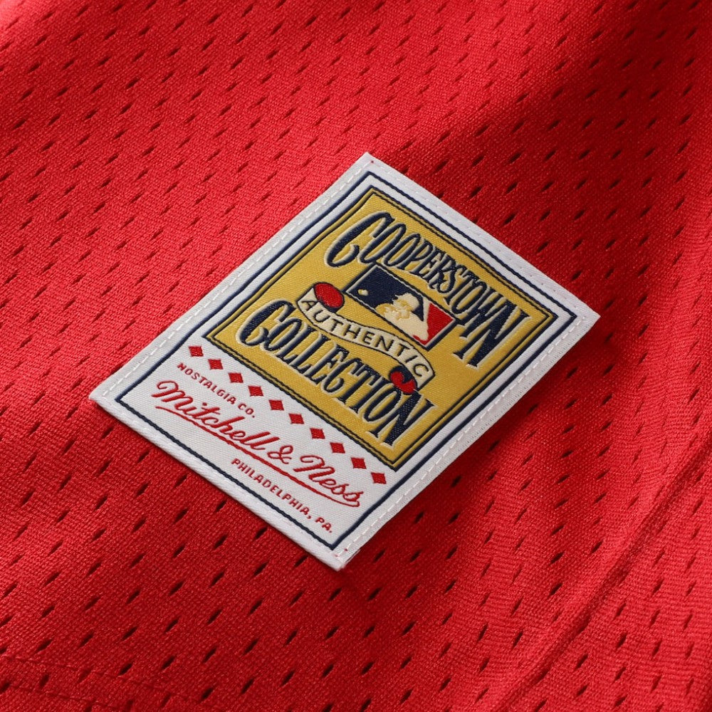 Ozzie Smith St. Louis Cardinals Mitchell & Ness Youth Cooperstown Collection Mesh Batting Practice Jersey - MLB