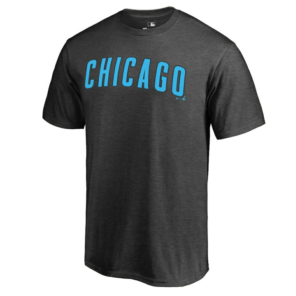 Chicago Cubs Blue Wordmark T-Shirt - MLB