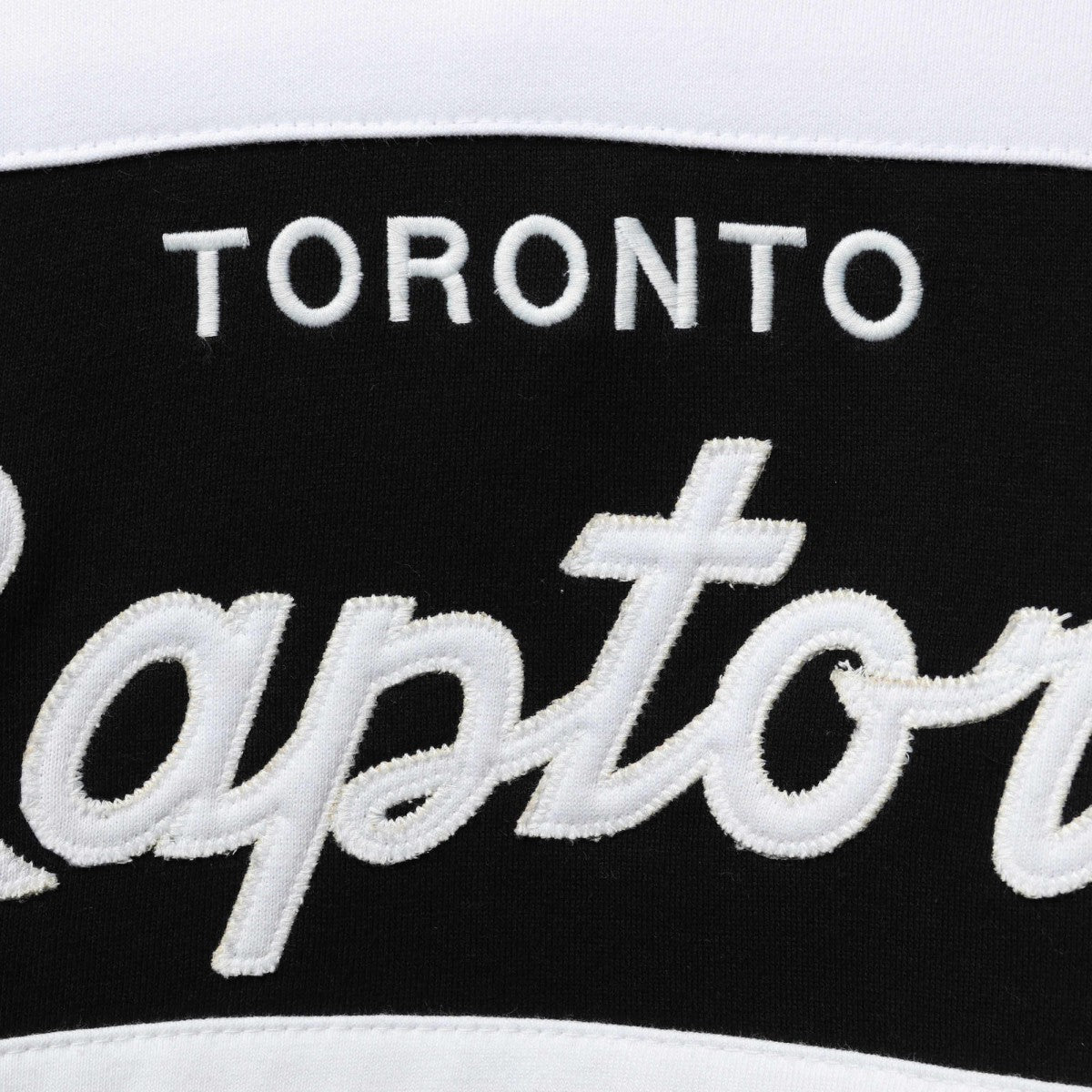 Toronto Raptors Head Coach Pullover Hoodie Purple/Black - NBA