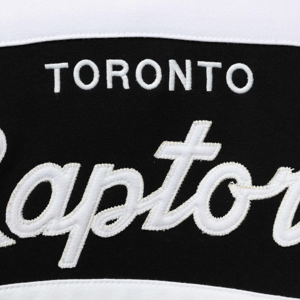 Toronto Raptors Head Coach Pullover Hoodie Purple/Black - NBA