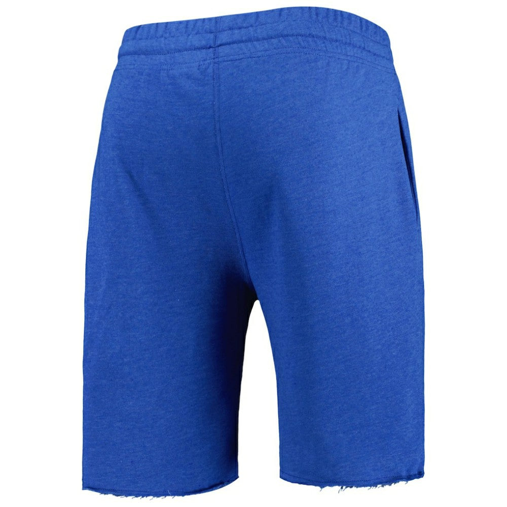 Chicago Cubs Concepts Sport Mainstream Terry Shorts - MLB