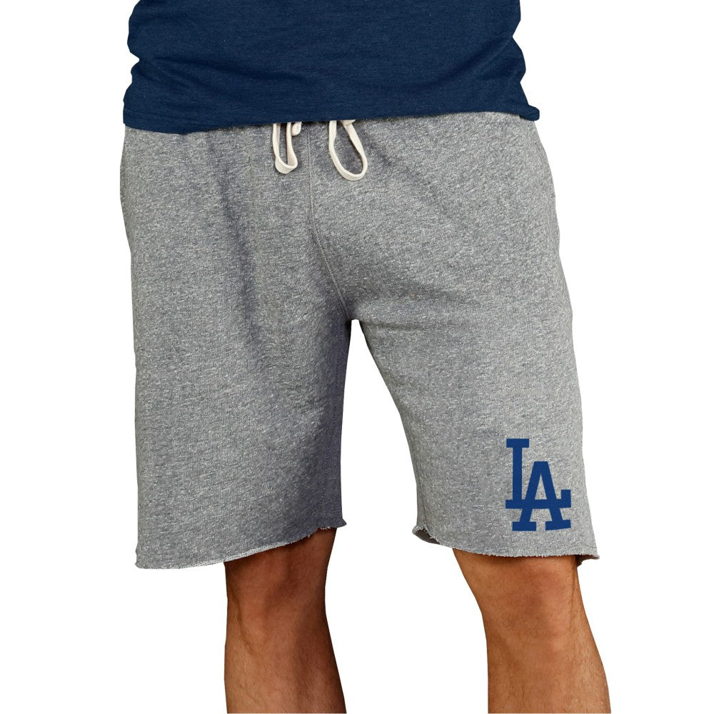 Los Angeles Dodgers Concepts Sport Mainstream Terry Shorts - MLB