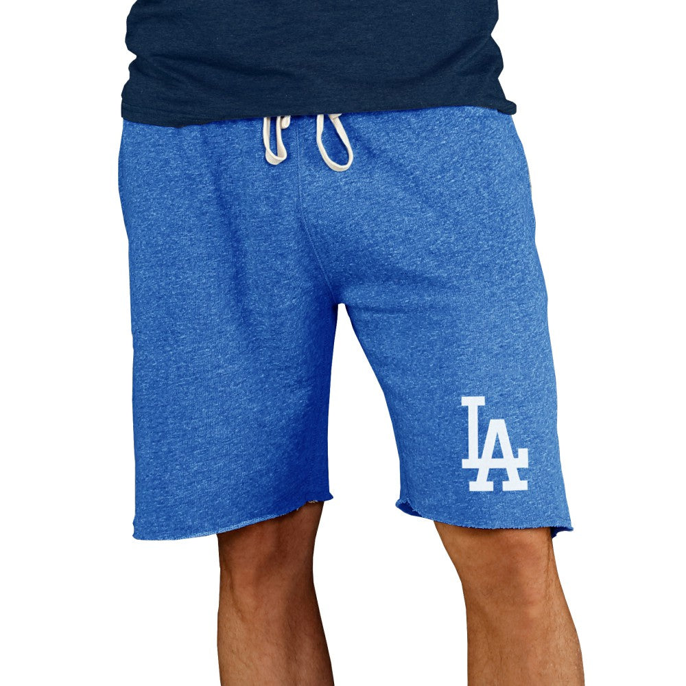 Los Angeles Dodgers Concepts Sport Mainstream Terry Shorts - MLB