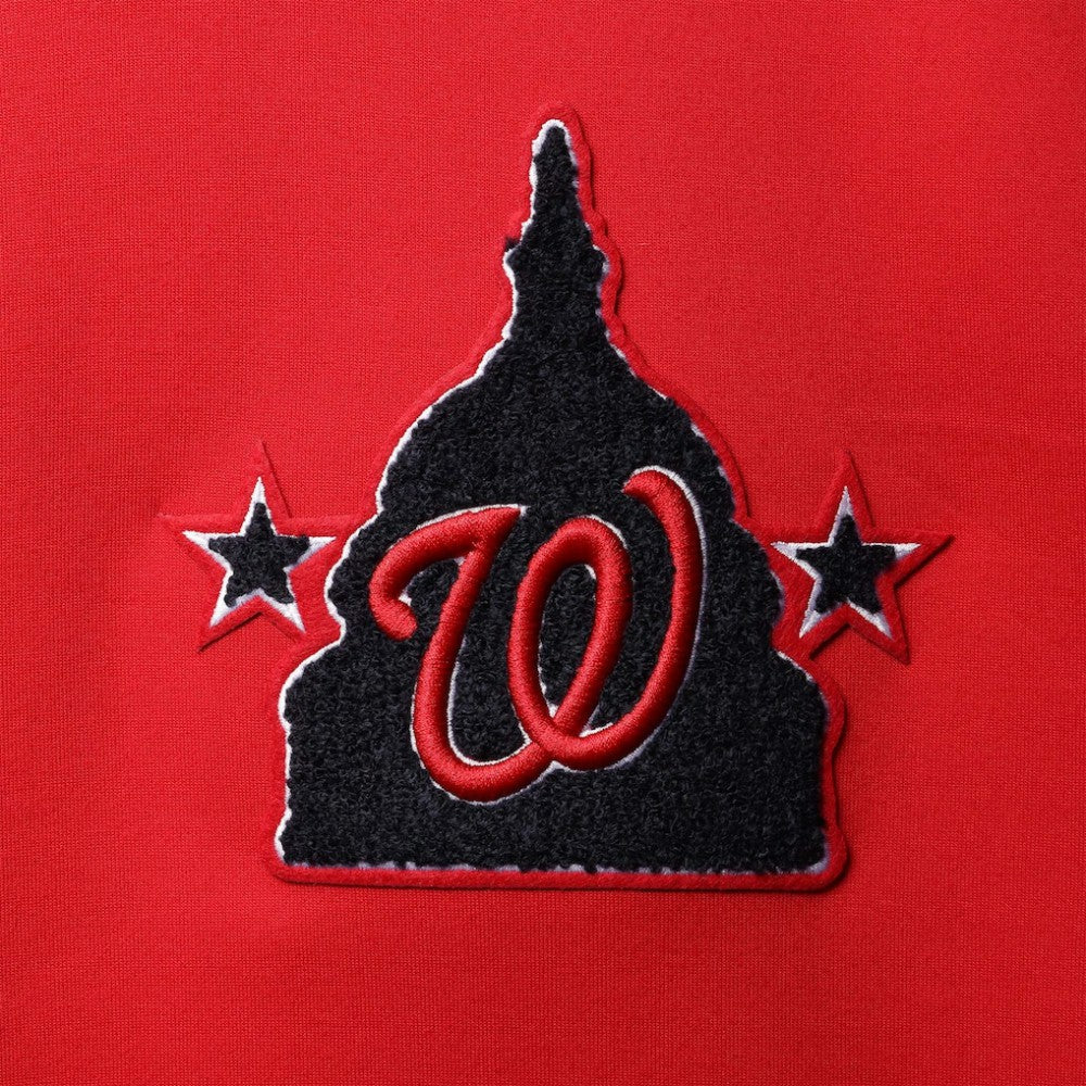 Washington Nationals Pro Standard Logo Pullover Hoodie - MLB