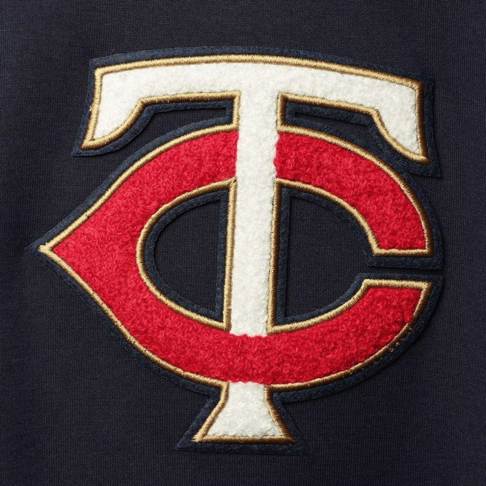Minnesota Twins Pro Standard Team Logo Pullover Hoodie - MLB