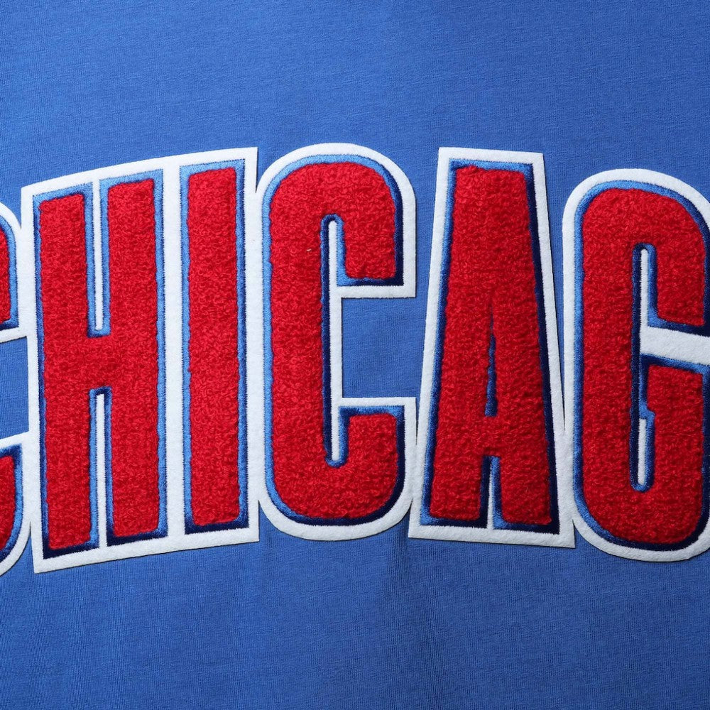 Chicago Cubs Pro Standard Team Logo T-Shirt - MLB