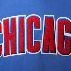 Chicago Cubs Pro Standard Team Logo T-Shirt - MLB