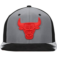 Chicago Bulls Day 5 Snapback Hat Silver/Gray - NBA