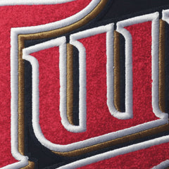Minnesota Twins Pro Standard Team T-Shirt - MLB