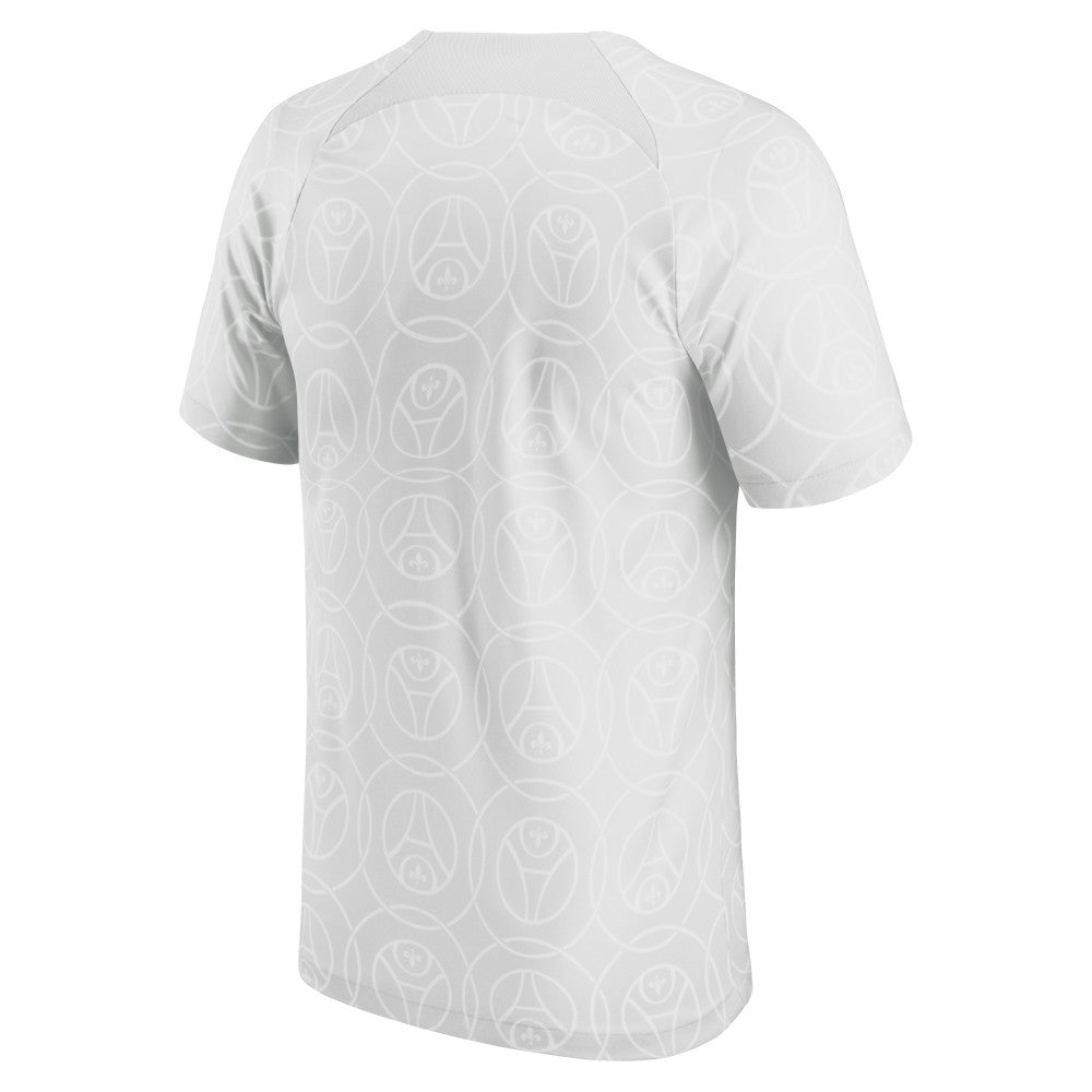 Paris Saint-Germain 2022/23 Pre-Match Top Gray | Nike Online