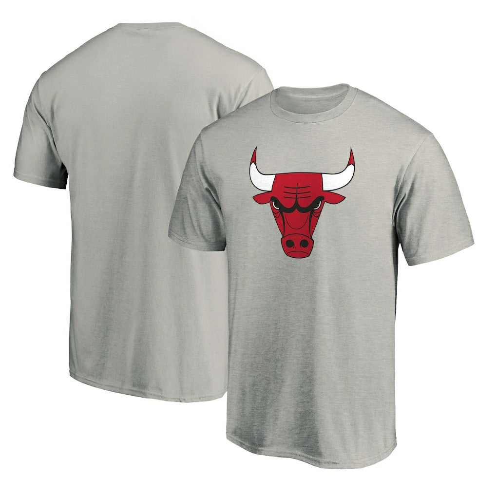 Chicago Bulls Primary Mascot Logo T-Shirt Heathered Gray - NBA