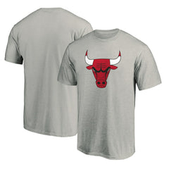 Chicago Bulls Primary Mascot Logo T-Shirt Heathered Gray - NBA