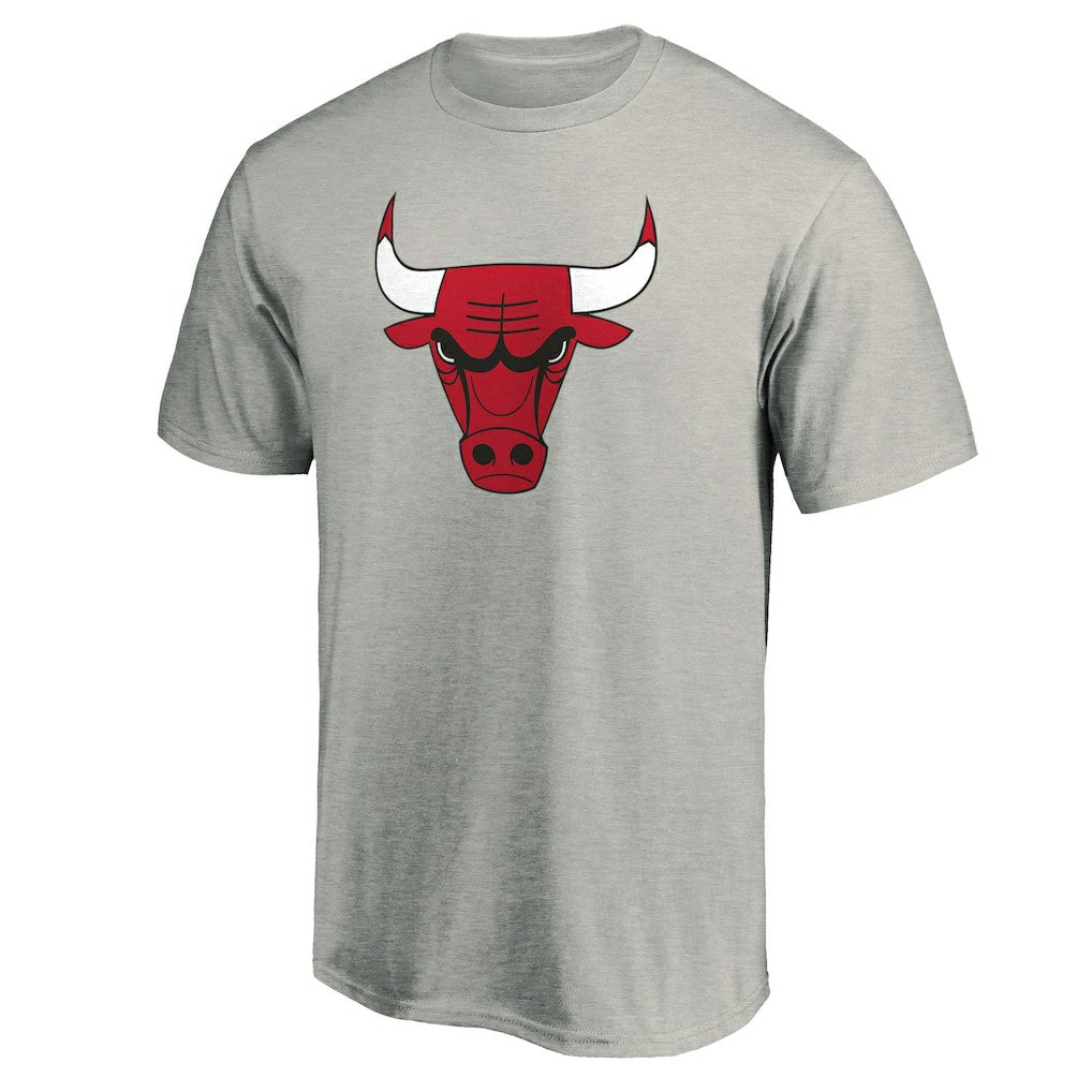 Chicago Bulls Primary Mascot Logo T-Shirt Heathered Gray - NBA