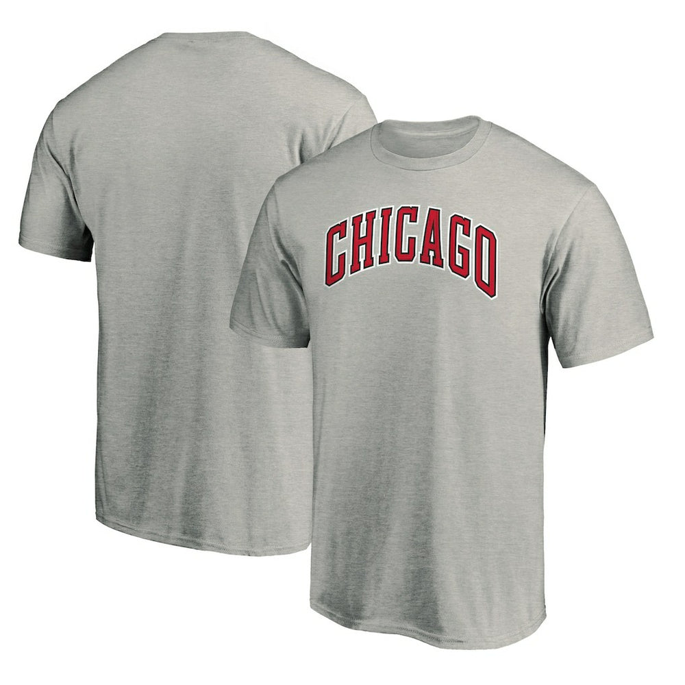 Chicago Bulls Alternate Logo T-Shirt Heathered Gray - NBA