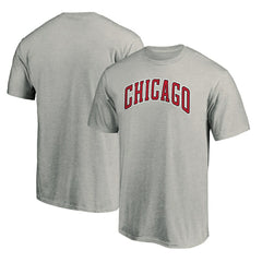 Chicago Bulls Alternate Logo T-Shirt Heathered Gray - NBA